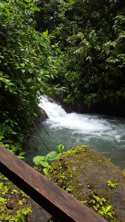 Cabinas Paraiso Pez Vela Quepos Luaran gambar